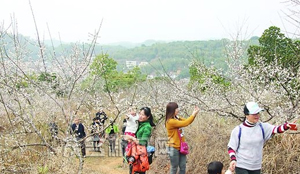 ï��������������ǰ�����˹���÷��ʢ��